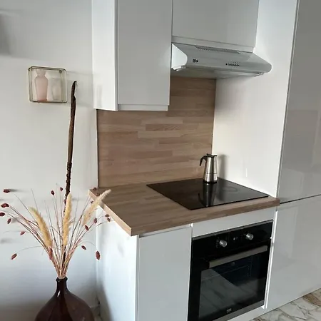 En Rez De Jardin Sur La Menton