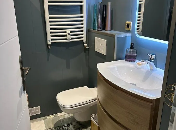 En Rez De Jardin Sur La 公寓 *