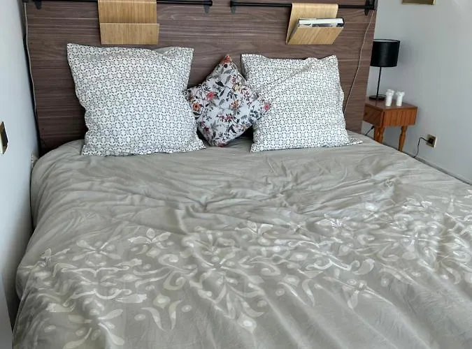 En Rez De Jardin Sur La 公寓 *